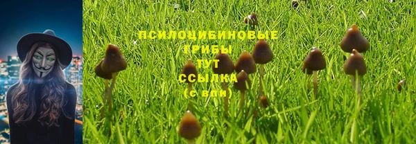 стаф Медвежьегорск