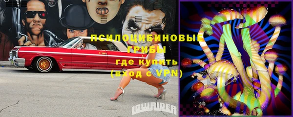 ПСИЛОЦИБИНОВЫЕ ГРИБЫ Осинники